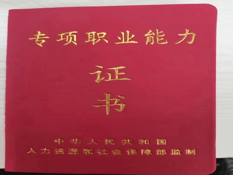 聘书任命书定制 聘书任命书定制-红金大气喜庆风